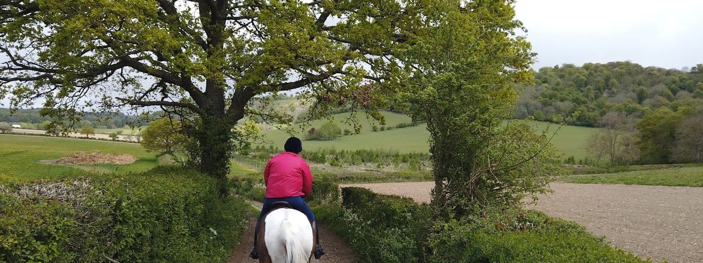A rider on a grey horse on a bridleway beneath a broad oak tree, looking out over open Chiltern farmland.